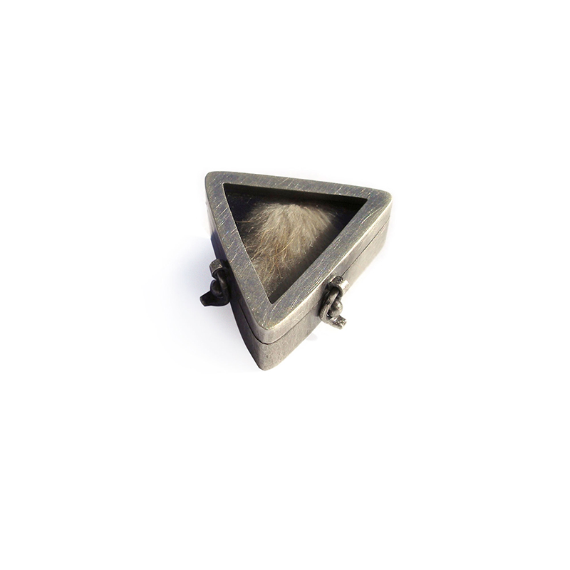 Carried by the Wind, Brooch, sterling silver, plant, perspex, 2006