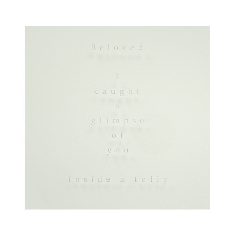 Beloved, Sandblasted text - Beloved I caught a glimpse of you inside a tulip. Sandblasted glass, paper, 24ct gold leaf, Ink. Frame size - 767mm wide x 465mm high x 50mm deep. 2014