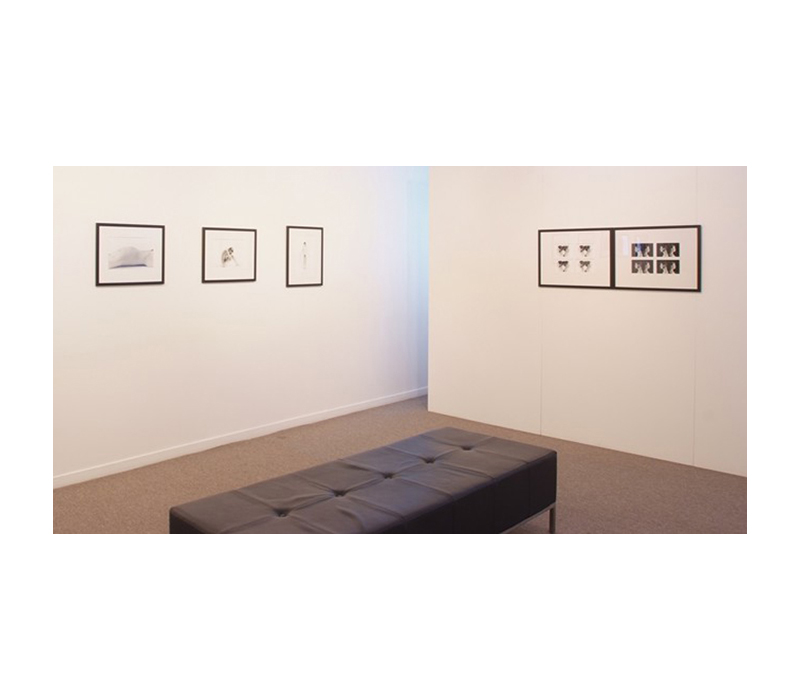 Somewhere In-between (Installation photo), Photospace Gallery, 2011