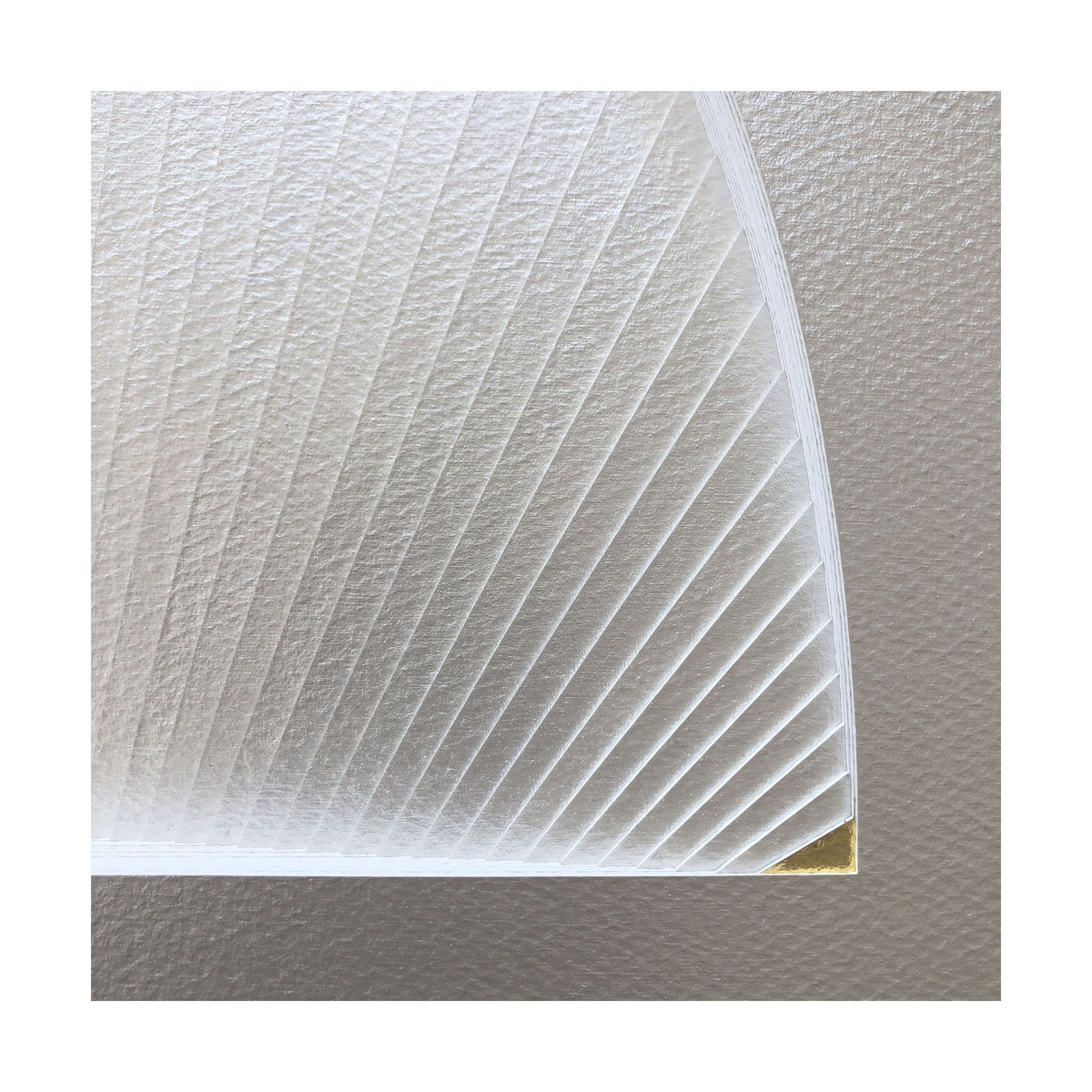 The space between us - detail - visual art